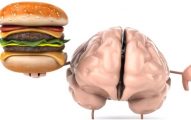 El Exceso De Comida Chatarra y El Cerebro